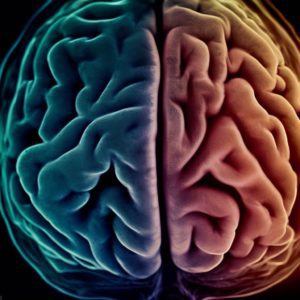 Fibromyalgie et auto-immunologie partagent des voies communes